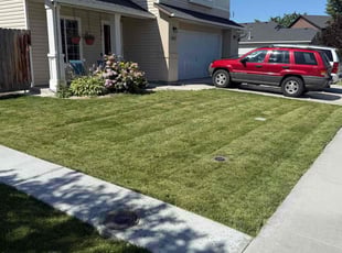 Aurora B.'s grass cutting service result