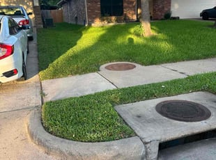 Marc F.'s turf maintenance service result