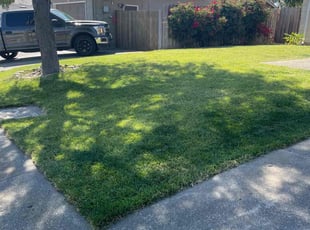 Henry B.'s lawn maintenance service result