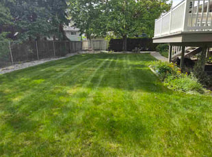 Peggy D.'s lawn care service result