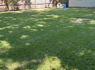 Steven L.'s lawn care services service result
