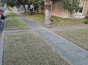 Tabitha N.'s lawn maintenance service result