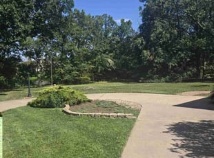 Pamela D.'s lawn care service result
