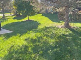 Gerald B.'s turf maintenance service result