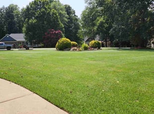 Denise M.'s lawn maintenance service result