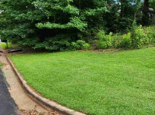 Judy A.'s lawn care service result