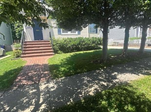 Dequila P.'s grass maintenance service result