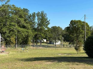 Brinda H.'s grass cutting service result