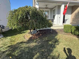 Miranda P.'s lawn service service result