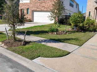 Suzanne M.'s turf maintenance service result