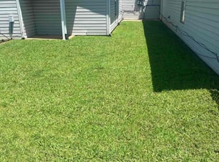 Dominique J.'s grass maintenance service result