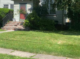 Jose C.'s turf care service result