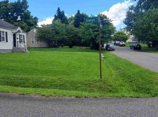 Alex M.'s turf maintenance service result