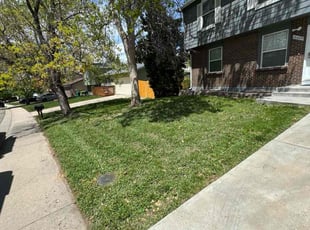 Kyle H.'s lawn care service result
