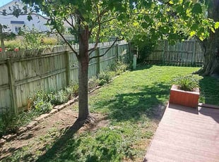 Sherry A.'s Bush Trimming service result