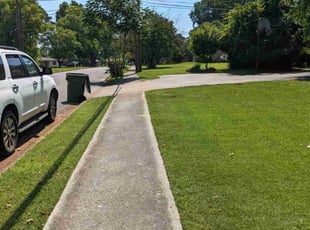 Jasmine K.'s turf care service result