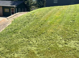 Jimmie S.'s lawn maintenance service result