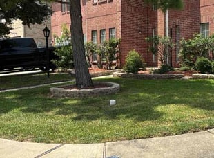 Amy P.'s turf care service result