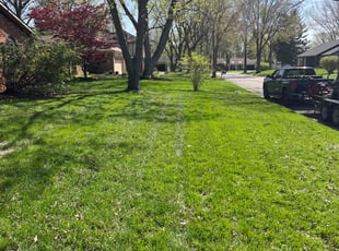 Danny M.'s lawn maintenance service result