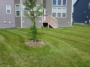 Christopher H.'s lawn care services service result