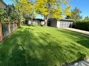 Cynthia D.'s lawn care services service result