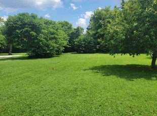Dellyion B.'s landscaping services service result