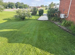 Sharon C.'s grass maintenance service result