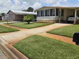 Chelsea F.'s lawn maintenance service result