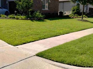 Neli K.'s turf maintenance service result