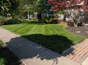 Harris W.'s lawn care services service result