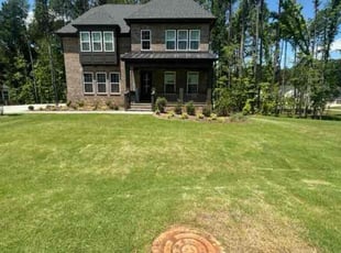 Patricia C.'s lawn care services service result