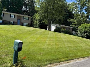 Bea V.'s grass maintenance service result