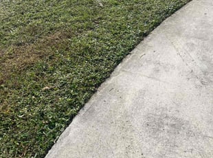 Sherman P.'s lawn care services service result