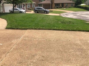 Jimetria R.'s lawn maintenance service result