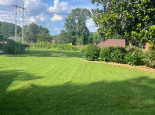 Shernette H.'s lawn care services service result