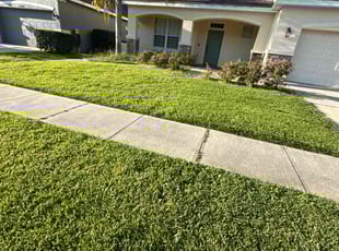 Judy N.'s turf maintenance service result