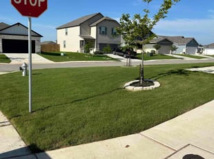 Chrissie W.'s lawn service service result