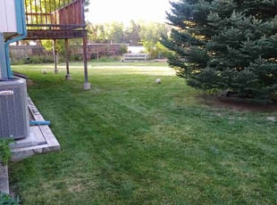Sara S.'s lawn care service result