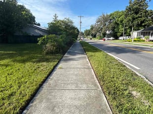 Larry B.'s lawn maintenance service result