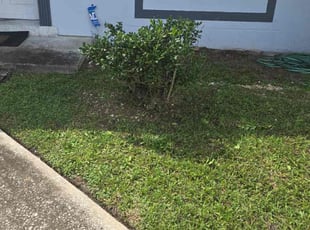 Richard L.'s Bush Trimming service result