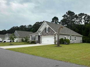 Lady D.'s lawn care service result