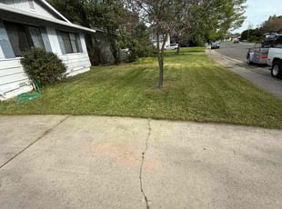 Verna T.'s grass cutting service result