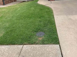 Erik H.'s turf maintenance service result