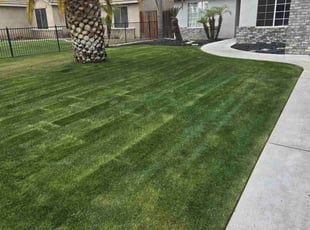 Jamie G.'s lawn service service result