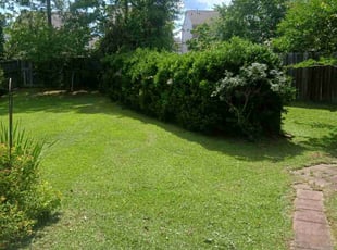 Scott R.'s grass maintenance service result
