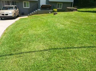 Jasmin S.'s lawn service service result