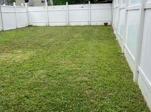 Wynter J.'s turf maintenance service result