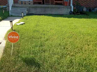 Jayrod Y.'s grass cutting service result