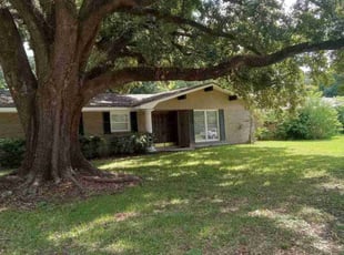 Leo R.'s lawn care service result