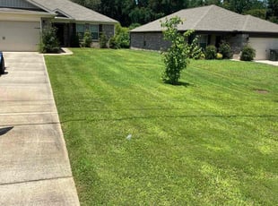 Derek J.'s yard maintenance service result